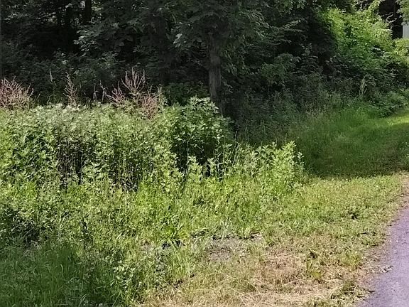 5th image of 419 Cauterskill Avenue