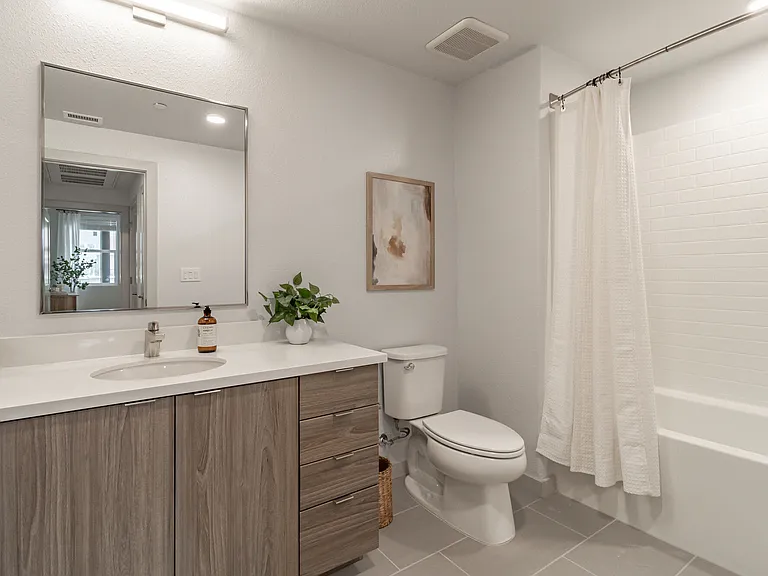 SOCO Apartments — Photo 13