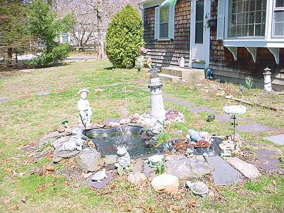 Coi pond in front yard