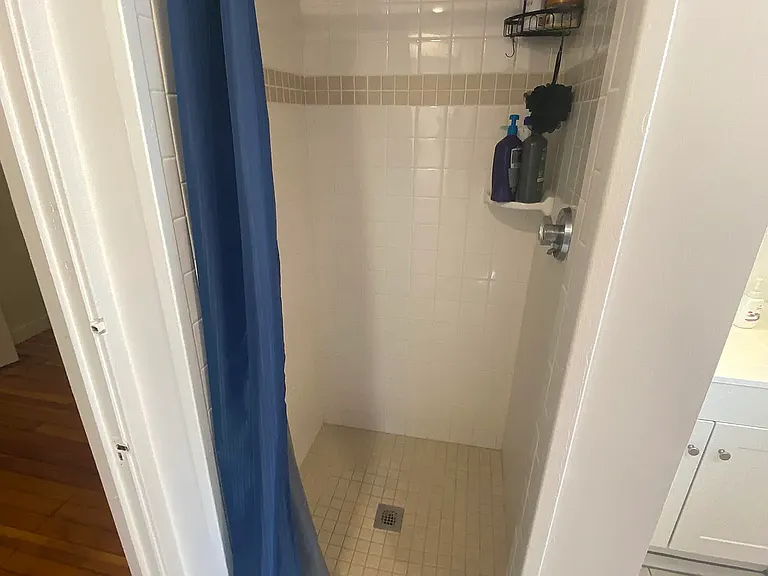 409 Adams St #3 — Photo 7
