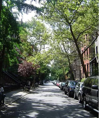 Rented by Waverly Realty Associates | media 12