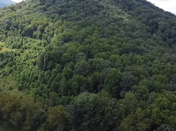 Scenic Ln, Rich Creek, VA 24147