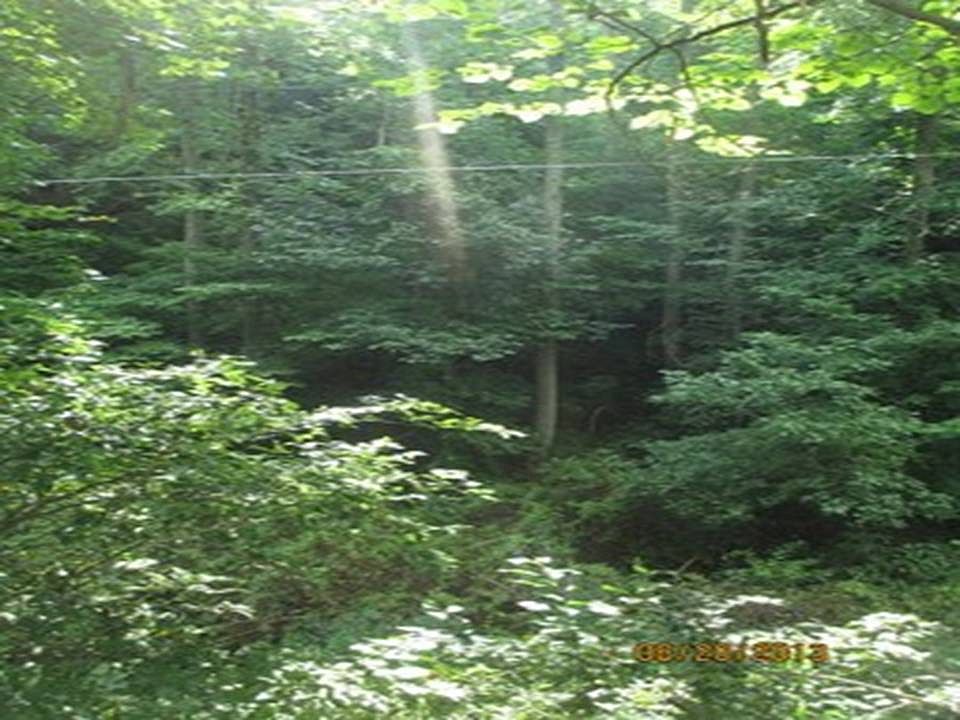 2nd image of Hamlin Road