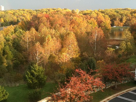 balcony  view