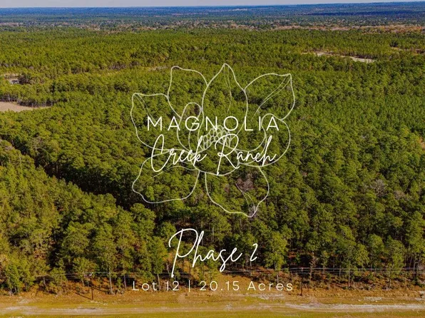 212 Fm 3459 Lot 12, Onalaska, TX 77360