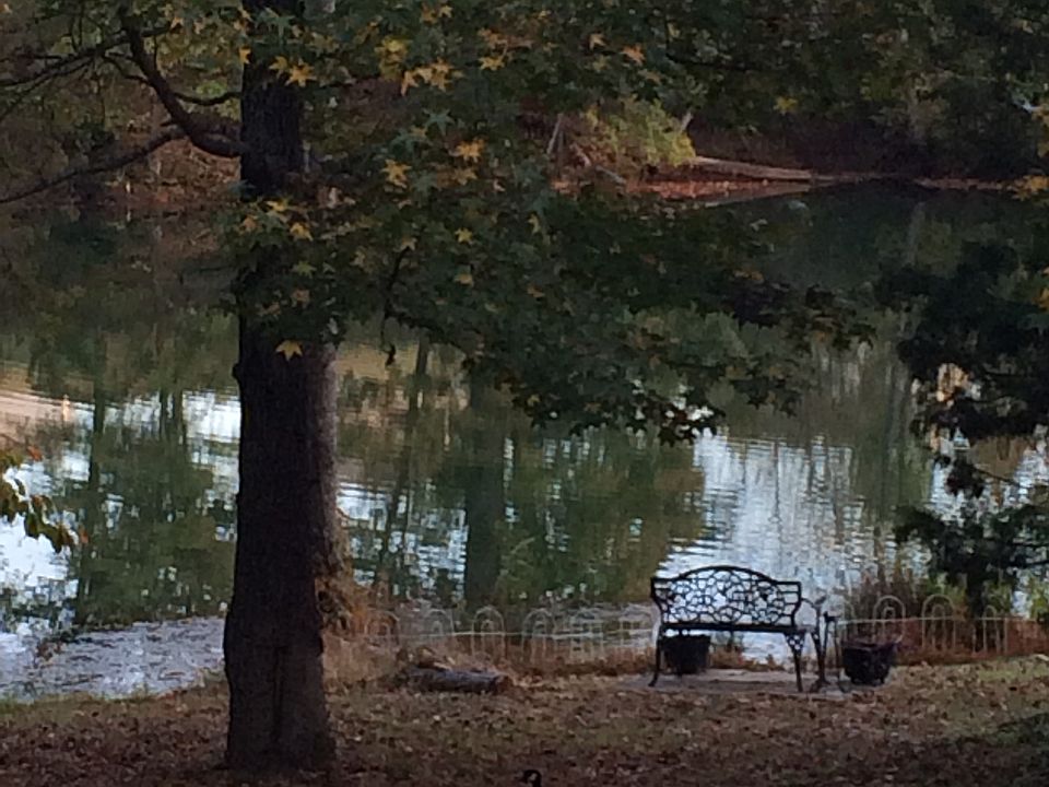 1st image of 142 Kingfisher Dr