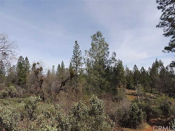 Beautifully wooded parcel