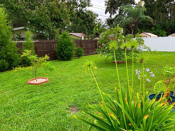 large back yard