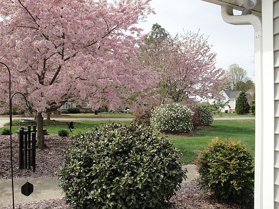 front yard in spring