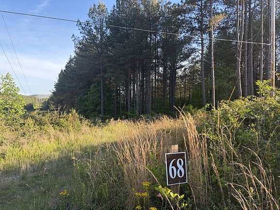 2nd image of 0 Black Bear Ln Lot 68