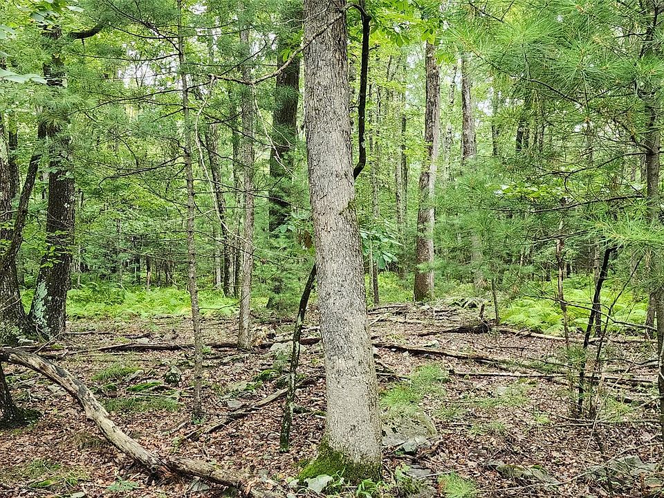 2nd image of 128 Wilson Road