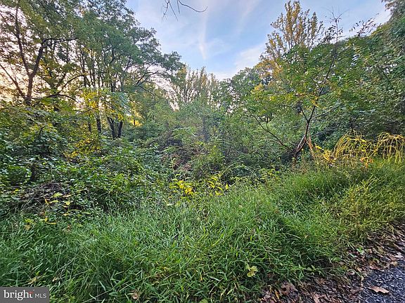 5th image of Briar Ln