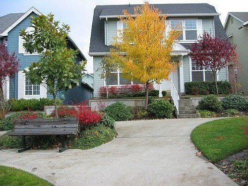 1st image of 1771 14th Ln NE