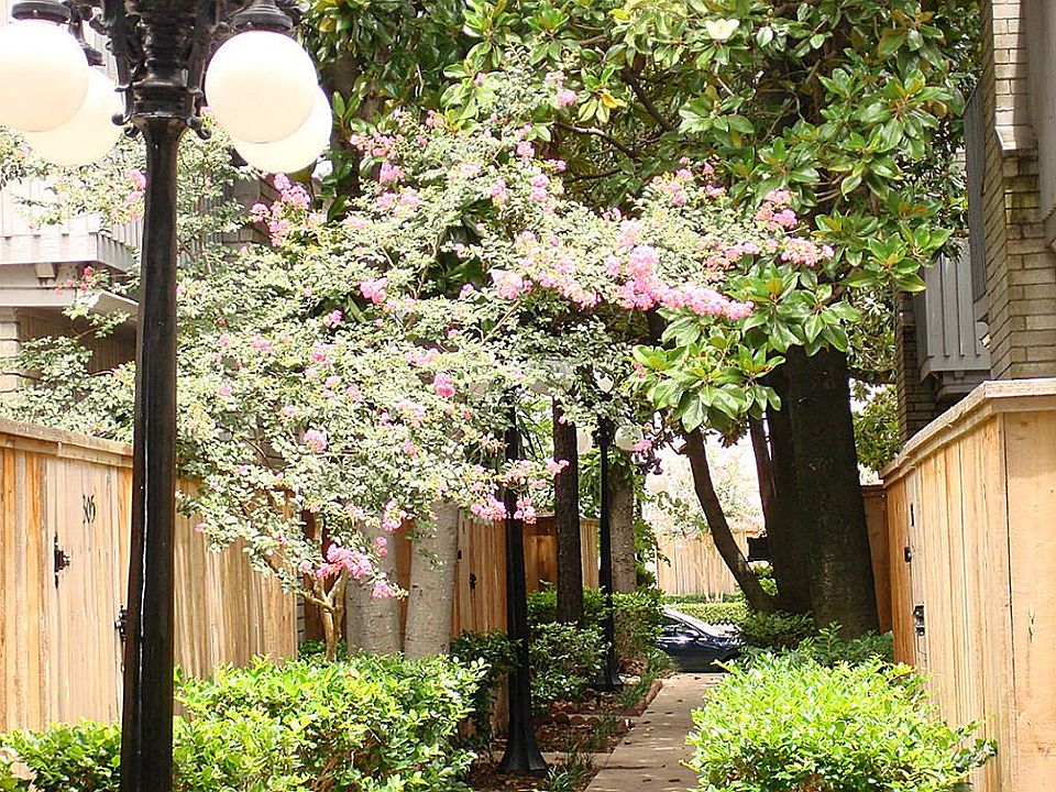 Spring View of Walkway