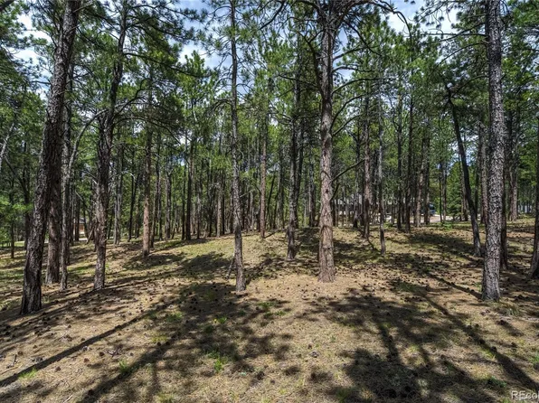 17960 Smugglers Road LOT 17, Monument, CO 80132