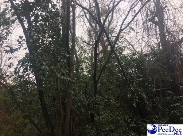 3636 W Forest Lake Dr, Florence, SC 29501