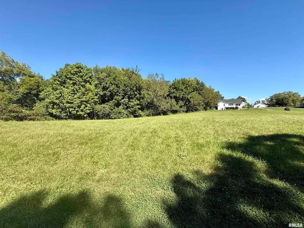 LOT 3 Lakeside Dr, Pt Byron, IL 61275