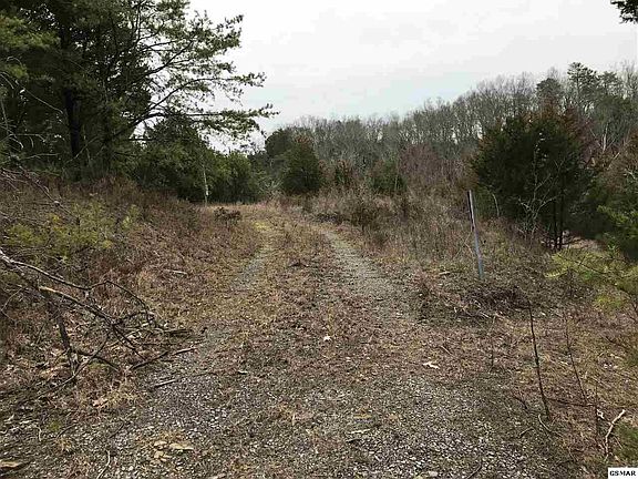 3rd image of 3051 Buck Horn Rd