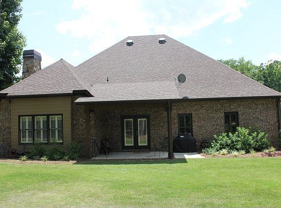 Back View