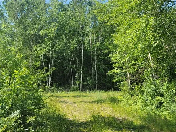 xxx Larsen Road, Hayward, WI 54843