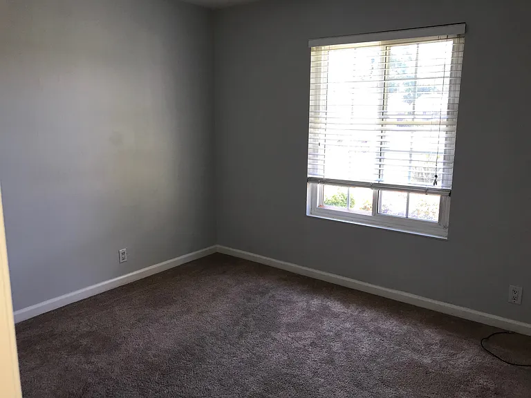 223 Chestnut Ct — Photo 14