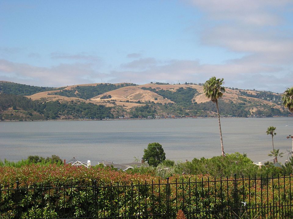 View from Back Yard