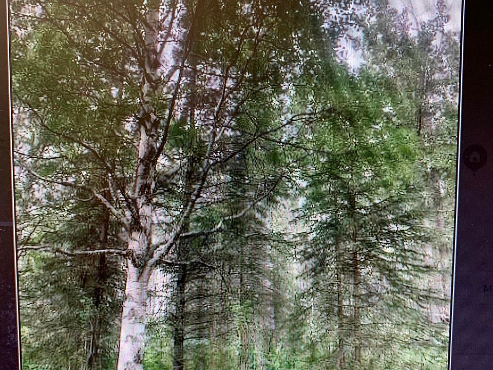 1st image of 26735 E Little Granite Creek Loop