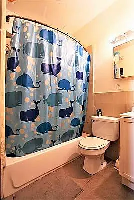 Rented by Metropolitan Property Group | media 25
