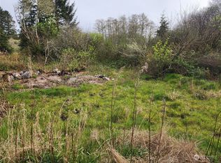 3502 102nd Street, Long Beach, WA 98631