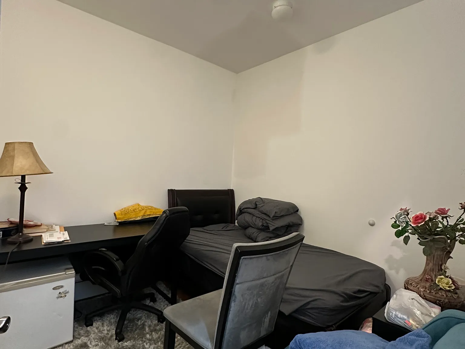 1 bed, $900 — Photo 1