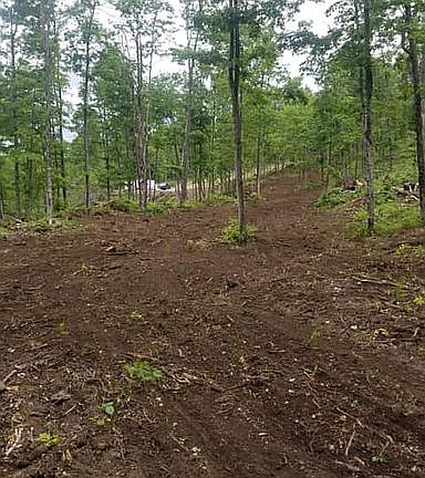 Food Plot