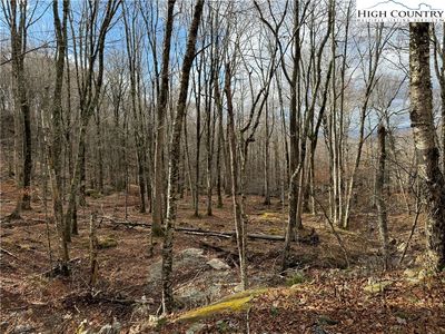 122 Whipporwill Way, Banner Elk, NC, 28604