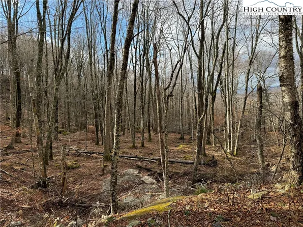 122 Whipporwill Way, Beech Mountain, NC 28604