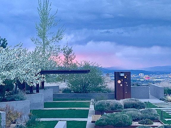 Camera moment in backyard