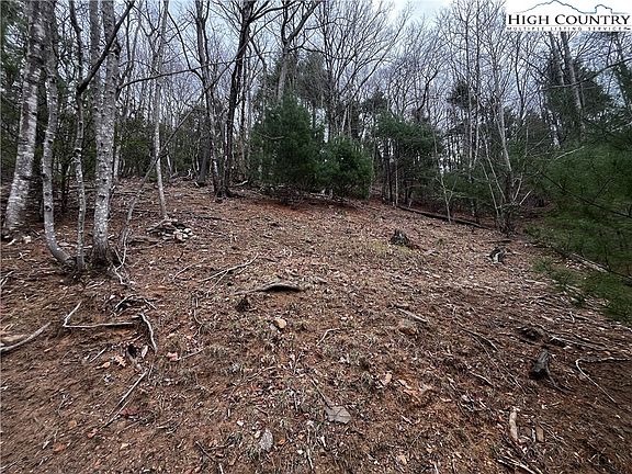 5th image of Lot 16 Bear Creek Lane