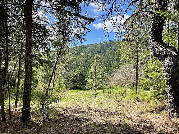 5th image of 12615 S Alpine Fern Ln