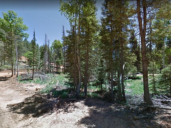 5th image of 955 W Bear Trak #66