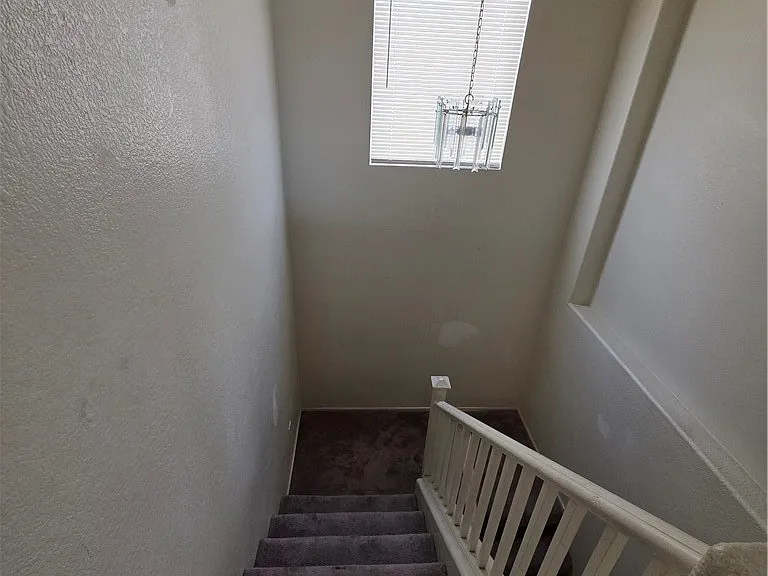 2506 Lady Elizabeth Ct — Photo 33