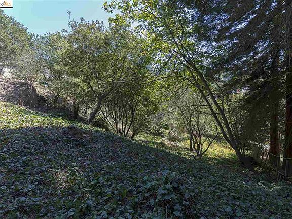 5th image of 614 Cragmont Ave