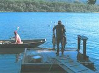 360 Requa Rd, Klamath, CA 95548