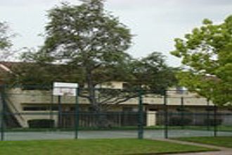 Basketball court