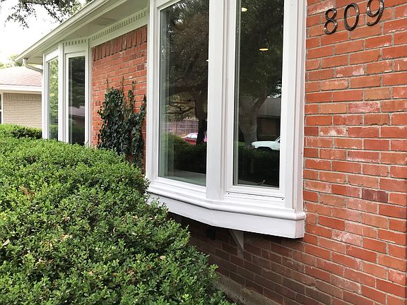 70 yr old Boxwood Bushes