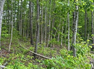 LOT 236 Veterans Lookout, Wilder, TN 38589