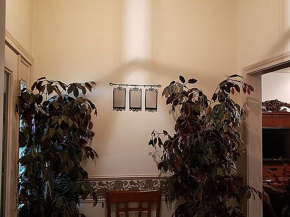 5th image of 3119 Williamsburg Cir