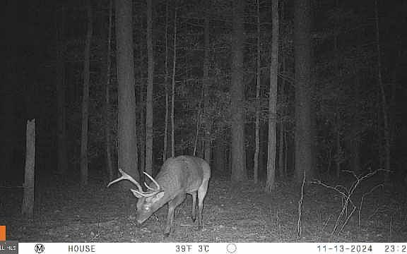 5th image of 30371 Marumsco Rd