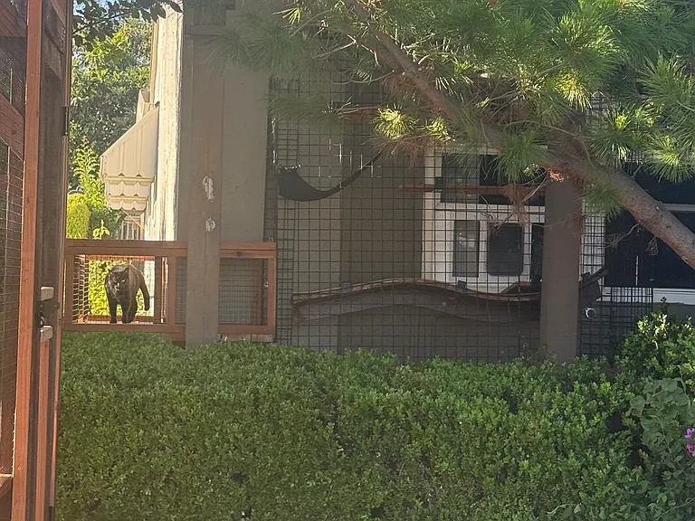 1007 Drexel Way — Photo 3