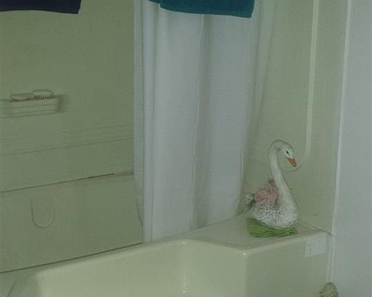 5th image of 108 W Ivy St
