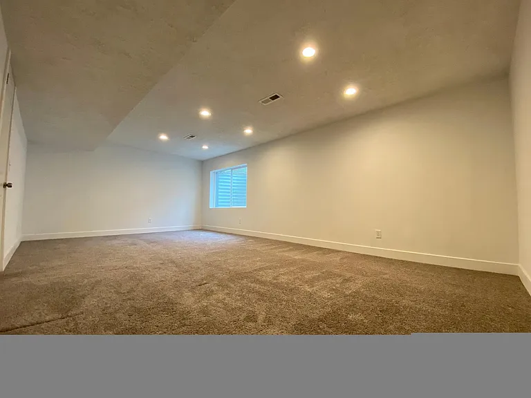 Large Basement Family Room/Extra Bedroom