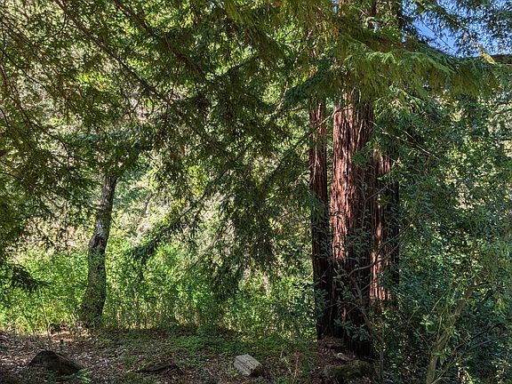 3rd image of 18770 Kelly Hill Rd