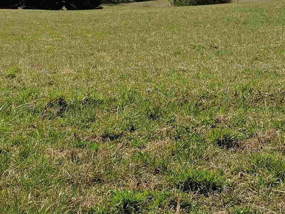 2nd image of Courtney Rd Lot 2